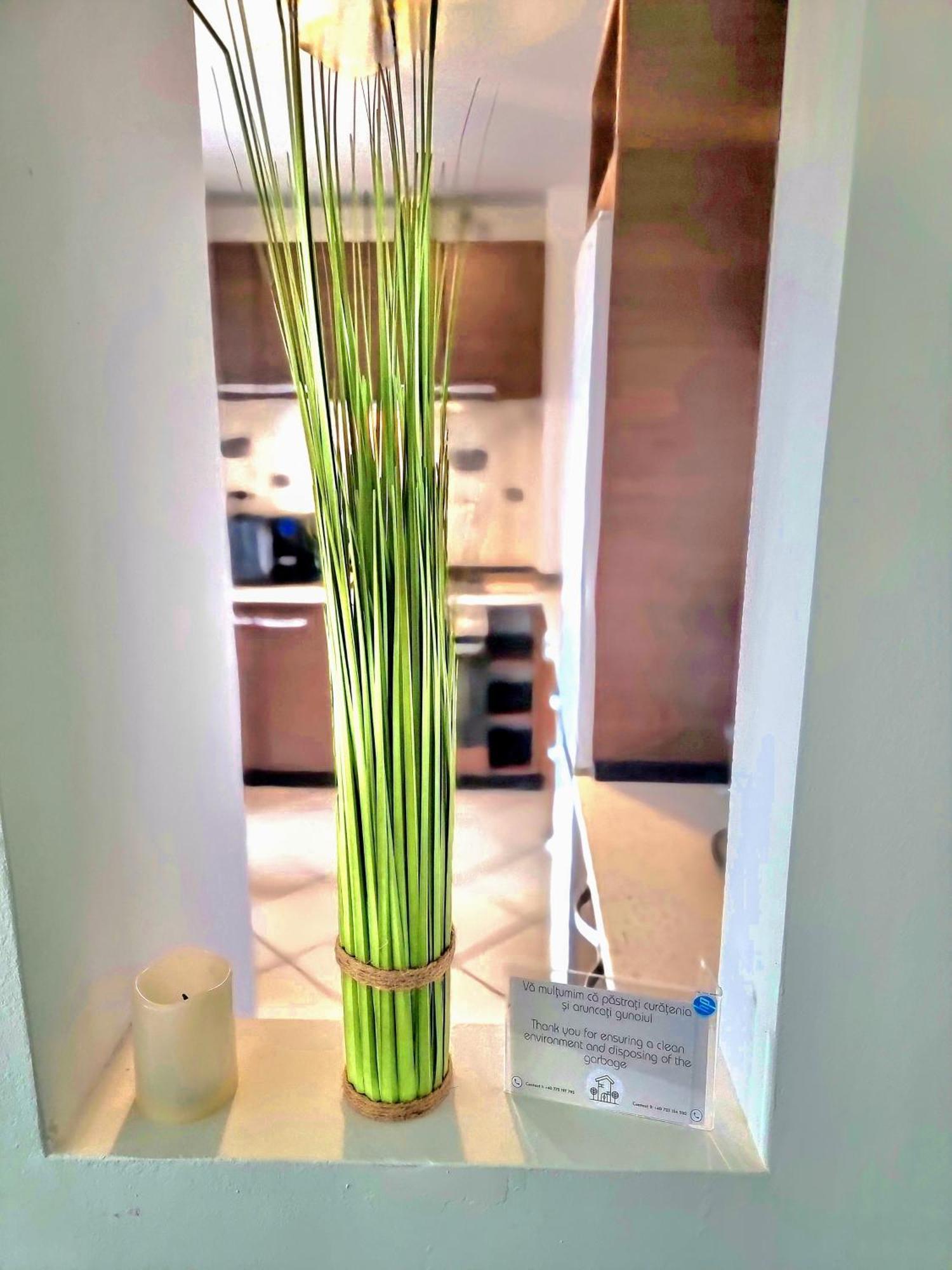 Ring Apartment *