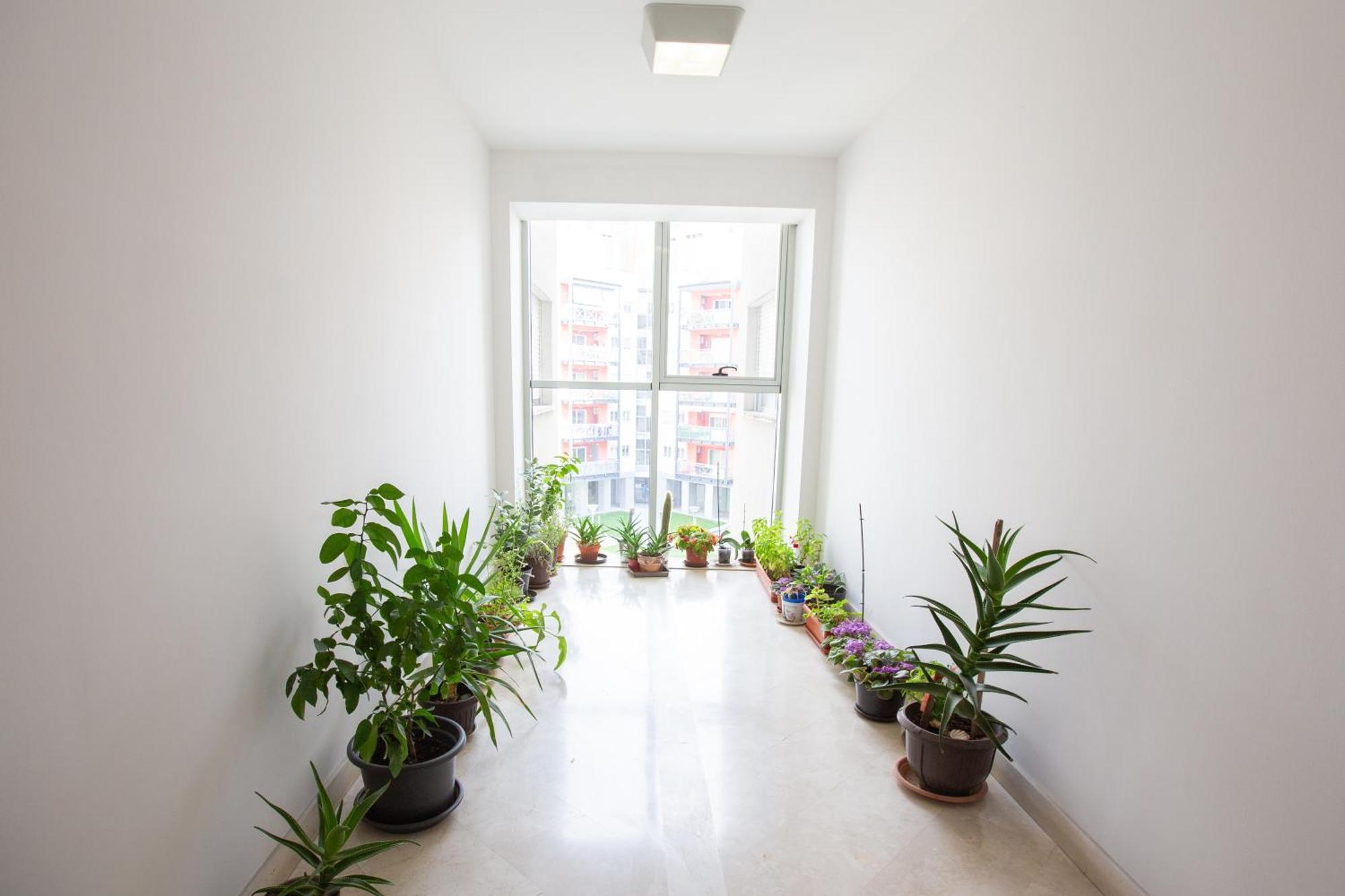 Apartment Ring